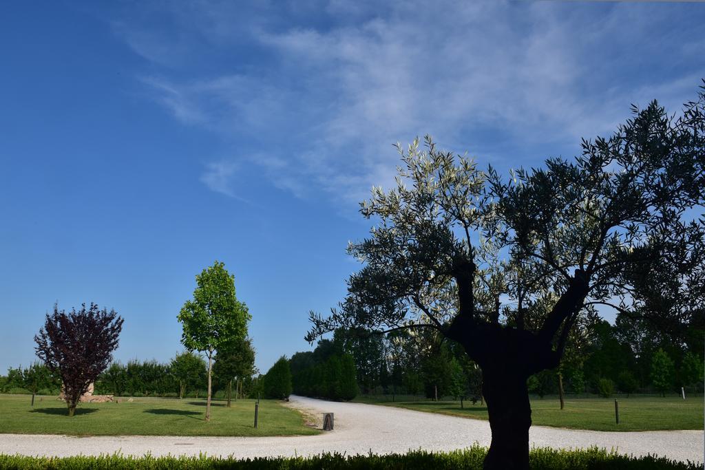 Tenuta Monterosso Feriole Екстериор снимка